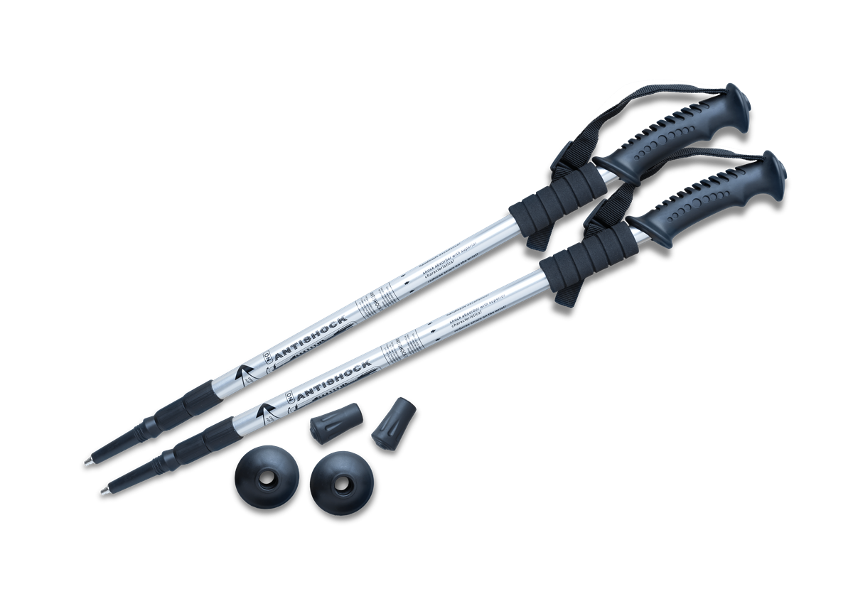 Natural Pharmaceuticals Movisan® Collagen II Prezent GI174.